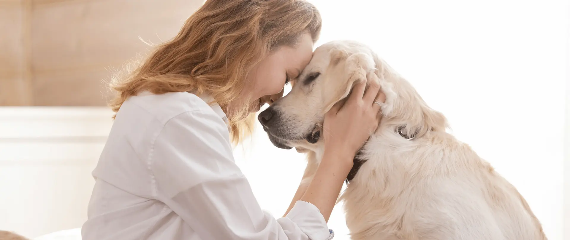 liebevoller Tierhalter umarmt einen Golden Retriever zu Hause, warmes natürliches Licht, emotionaler Abschied, echter Moment